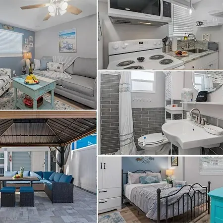Downtown Dunedin Gem, Fully Renovated #3